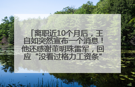 离职近10个月后，王自如突然宣布一个消息！他还感谢董明珠雷军，回应“没看过格力工资条”：真的不那么重要！