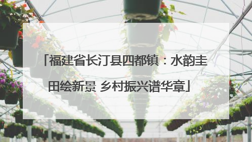 福建省长汀县四都镇：水韵圭田绘新景 乡村振兴谱华章