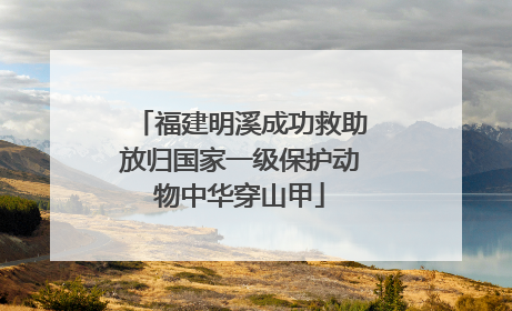 福建明溪成功救助放归国家一级保护动物中华穿山甲