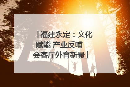 福建永定：文化赋能 产业反哺 会客厅外育新景