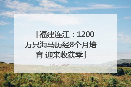 福建连江：1200万只海马历经8个月培育 迎来收获季