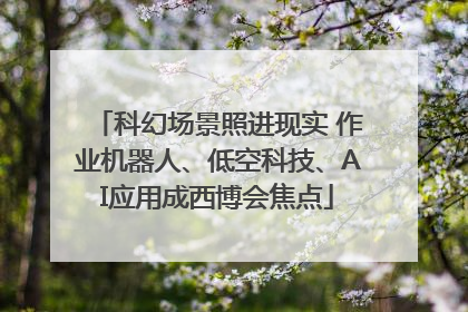 科幻场景照进现实 作业机器人、低空科技、AI应用成西博会焦点