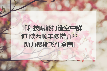 科技赋能打造空中鲜道 陕西顺丰多措并举助力樱桃飞往全国