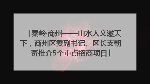 秦岭·商州——山水人文邀天下，商州区委副书记、区长支朝奇推介5个重点招商项目