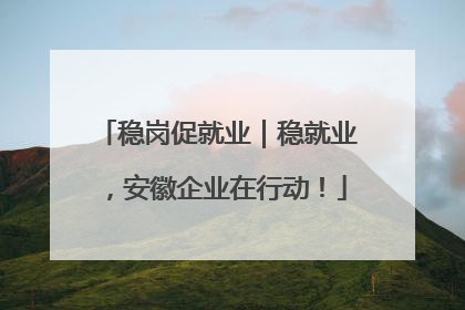 稳岗促就业｜稳就业，安徽企业在行动！