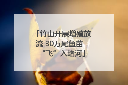 竹山开展增殖放流 30万尾鱼苗“飞”入堵河