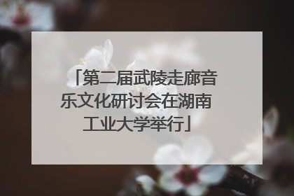 第二届武陵走廊音乐文化研讨会在湖南工业大学举行