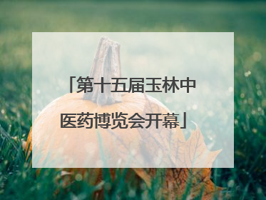 第十五届玉林中医药博览会开幕