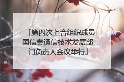 第四次上合组织成员国信息通信技术发展部门负责人会议举行