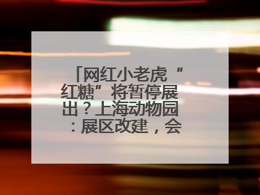 网红小老虎“红糖”将暂停展出？上海动物园：展区改建，会安排展出计划