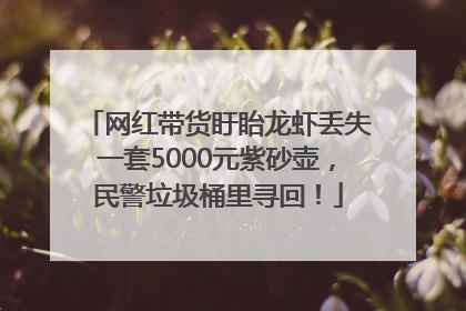 网红带货盱眙龙虾丢失一套5000元紫砂壶，民警垃圾桶里寻回！