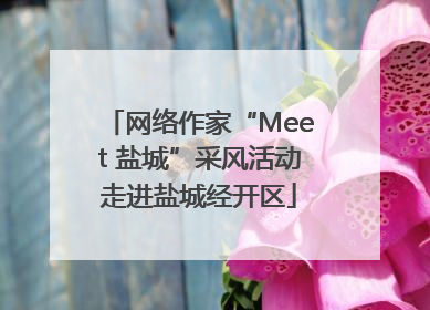 网络作家“Meet 盐城”采风活动走进盐城经开区