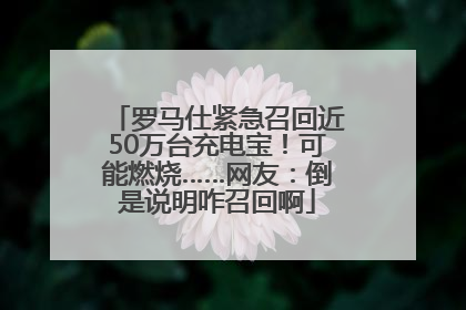 罗马仕紧急召回近50万台充电宝！可能燃烧……网友：倒是说明咋召回啊