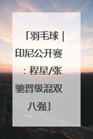 羽毛球｜印尼公开赛：程星/张驰晋级混双八强