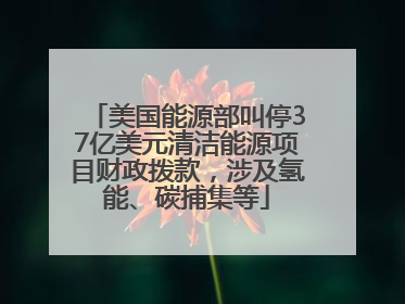美国能源部叫停37亿美元清洁能源项目财政拨款，涉及氢能、碳捕集等