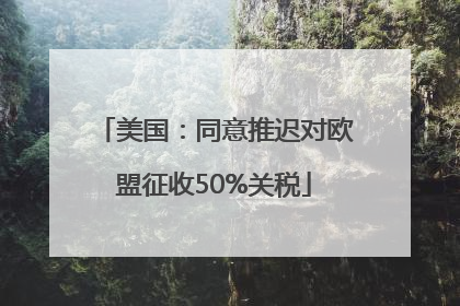 美国：同意推迟对欧盟征收50%关税