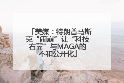 美媒：特朗普马斯克“闹崩”让“科技右翼”与MAGA的不和公开化