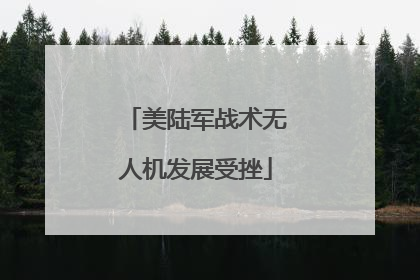 美陆军战术无人机发展受挫
