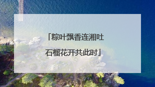 粽叶飘香连湘吐 石榴花开共此时