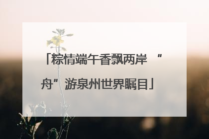 粽情端午香飘两岸 “舟”游泉州世界瞩目