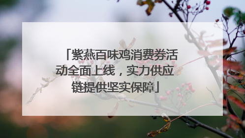 紫燕百味鸡消费券活动全面上线，实力供应链提供坚实保障