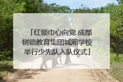 红领巾心向党 成都树德教育集团城厢学校举行少先队入队仪式