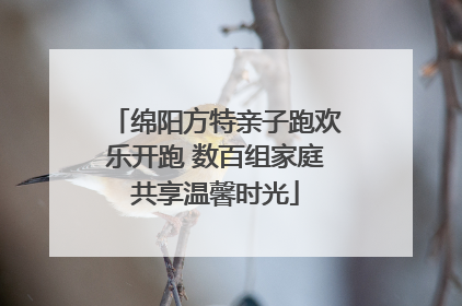 绵阳方特亲子跑欢乐开跑 数百组家庭共享温馨时光