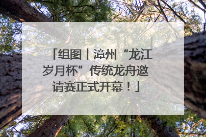 组图丨漳州“龙江岁月杯”传统龙舟邀请赛正式开幕！