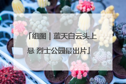 组图｜蓝天白云头上悬 烈士公园最出片