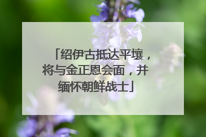 绍伊古抵达平壤，将与金正恩会面，并缅怀朝鲜战士