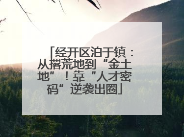 经开区泊于镇：从撂荒地到“金土地”！靠“人才密码”逆袭出圈