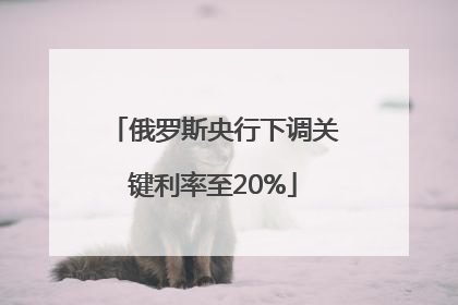 俄罗斯央行下调关键利率至20%