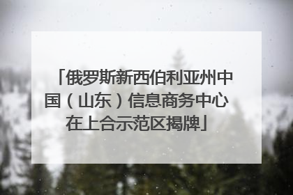 俄罗斯新西伯利亚州中国（山东）信息商务中心在上合示范区揭牌