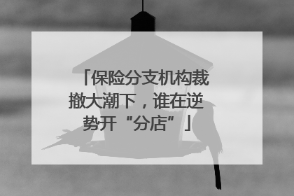 保险分支机构裁撤大潮下，谁在逆势开“分店”