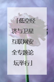 低空经济与卫星互联网安全专题论坛举行