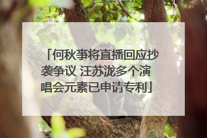 何秋亊将直播回应抄袭争议 汪苏泷多个演唱会元素已申请专利