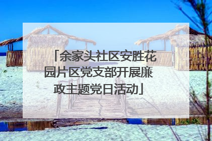 余家头社区安胜花园片区党支部开展廉政主题党日活动