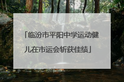 临汾市平阳中学运动健儿在市运会斩获佳绩