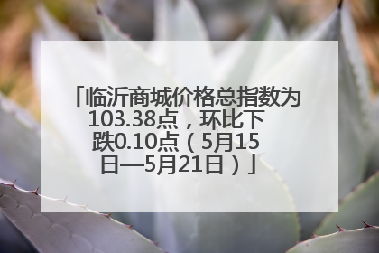 临沂商城价格总指数为103.38点，环比下跌0.10点（5月15日—5月21日）