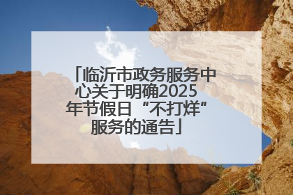 临沂市政务服务中心关于明确2025年节假日“不打烊”服务的通告