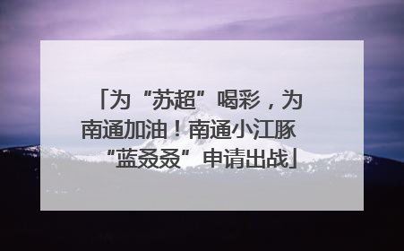 为“苏超”喝彩，为南通加油！南通小江豚“蓝叒叒”申请出战