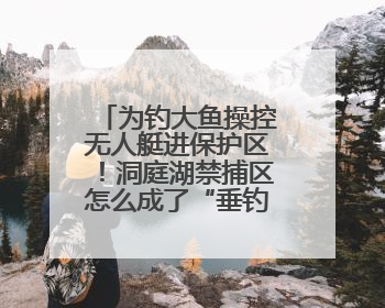 为钓大鱼操控无人艇进保护区！洞庭湖禁捕区怎么成了“垂钓场”？