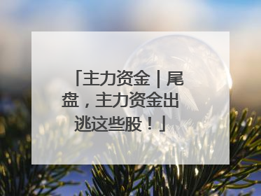 主力资金｜尾盘，主力资金出逃这些股！
