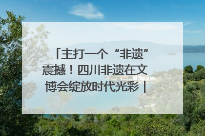 主打一个“非遗”震撼！四川非遗在文博会绽放时代光彩｜文博向“新”