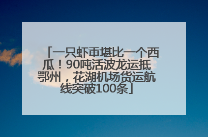 一只虾重堪比一个西瓜！90吨活波龙运抵鄂州，花湖机场货运航线突破100条