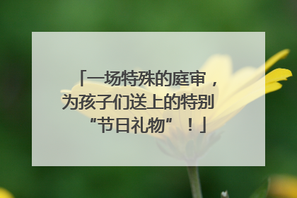 一场特殊的庭审，为孩子们送上的特别“节日礼物”！