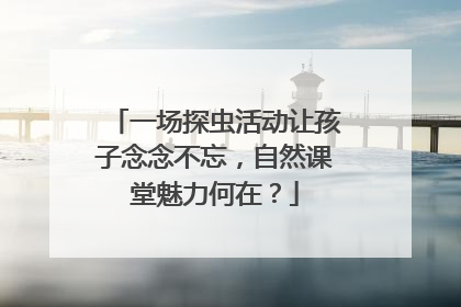 一场探虫活动让孩子念念不忘，自然课堂魅力何在？