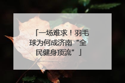 一场难求！羽毛球为何成济南“全民健身顶流”
