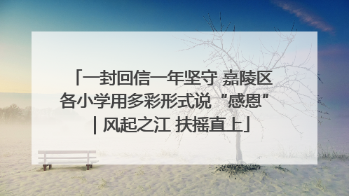 一封回信一年坚守 嘉陵区各小学用多彩形式说“感恩”｜风起之江 扶摇直上