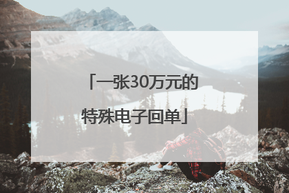 一张30万元的特殊电子回单